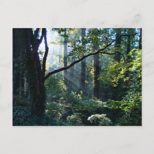 Cartão Postal Primeiro Cartão-Postal Claro (Frente)