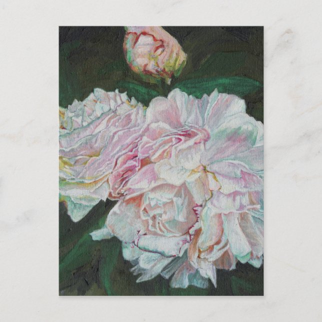 Cartão Postal Primeiro florescimento 2012 (Frente)