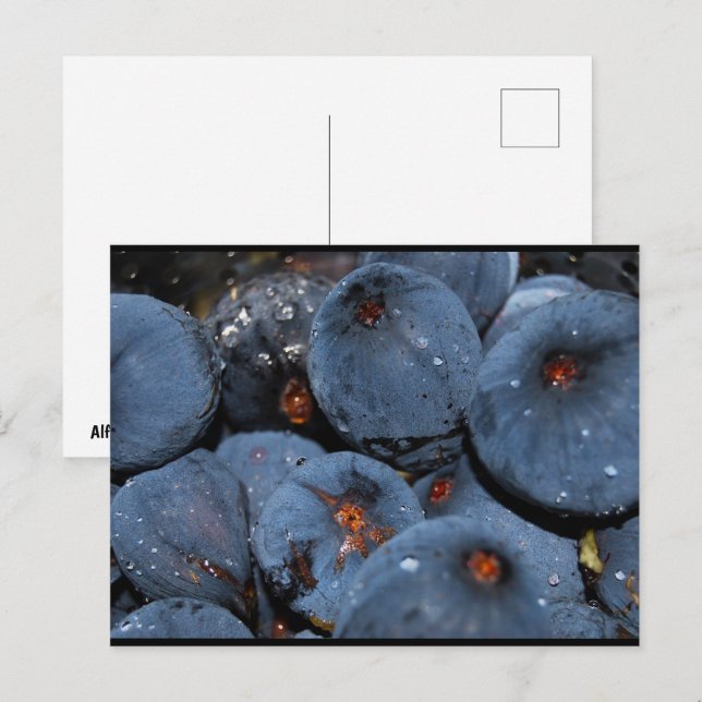 Cartão Postal Primeiro plano da fruta figo (Frente/Verso)