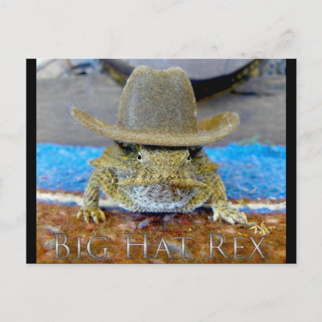 Cartão Postal Primo de Texe...bIg hAt rEx (Frente)