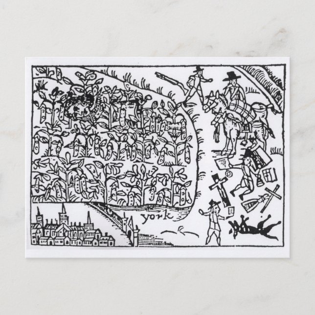 Cartão Postal Prince Rupert esconde-se em um bean (Frente)