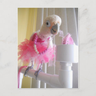 Cartão Postal Princesa Ella Postcard