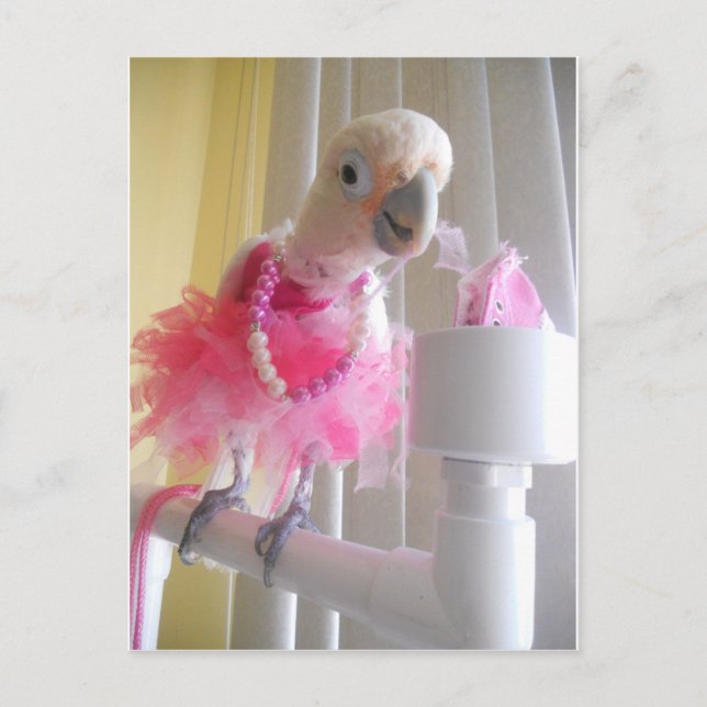 Cartão Postal Princesa Ella Postcard (Frente)