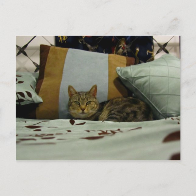 Cartão Postal Princesa Indigo (Frente)