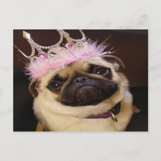 Cartão Postal Princess Pug