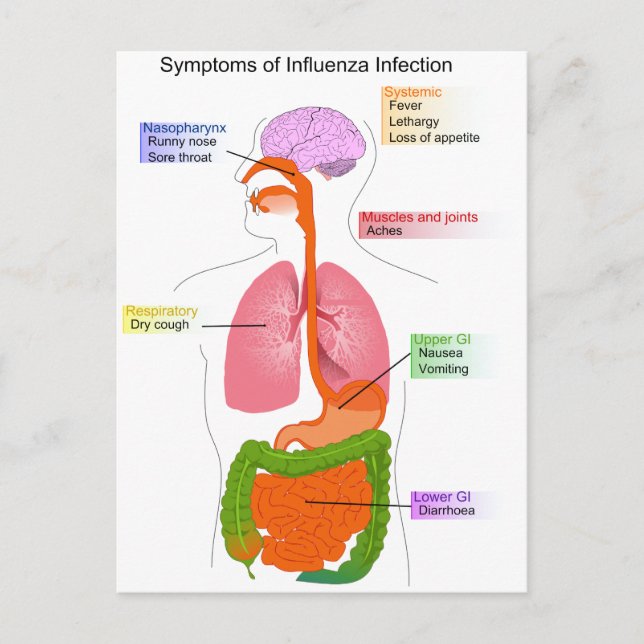 Cartão Postal Principais sintomas de um diagrama de infecção por (Frente)