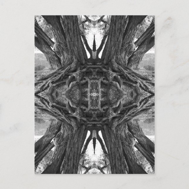 Cartão postal principal Zen (Frente)