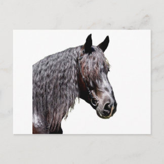 Cartão Postal Príncipe