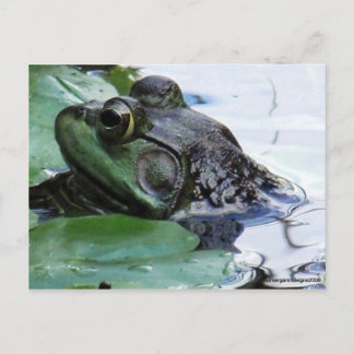 Cartão Postal "Príncipe Encantado"