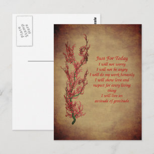 Cartão Postal Princípios Reiki Inspiradores Apenas Para Hoje 