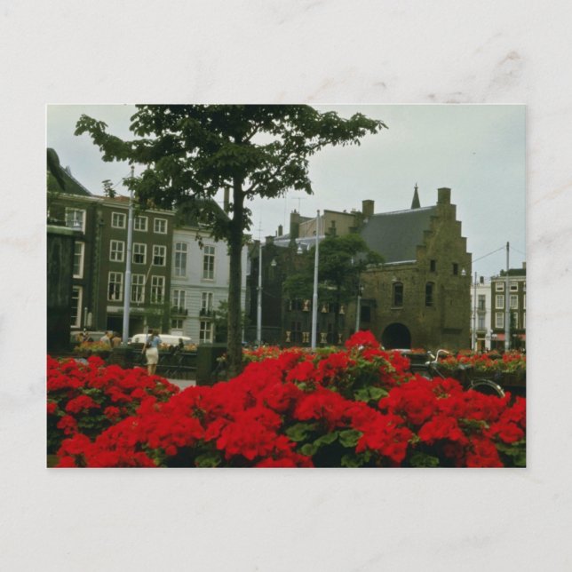 Cartão Postal Prisão Medieval Nas Flores De Haia (Frente)
