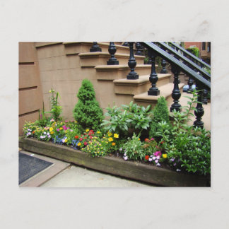 Cartão Postal Problemas do pote O