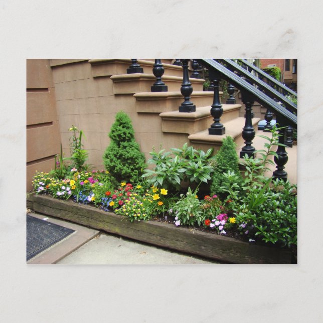 Cartão Postal Problemas do pote O (Frente)