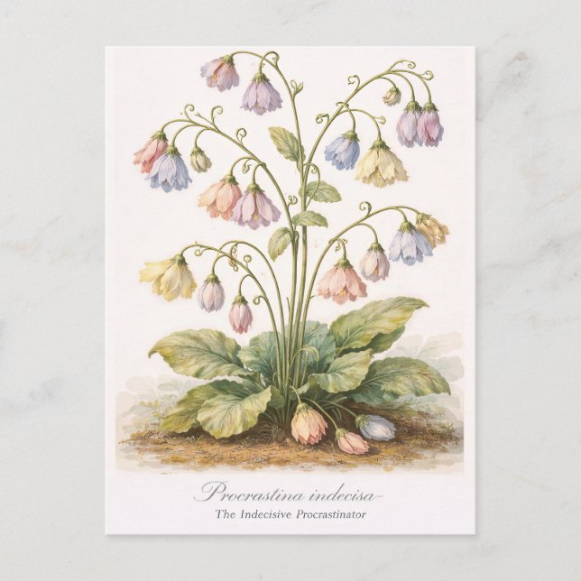 Cartão Postal Procrastina indecisa O Procrastinador Indeciso (Frente)