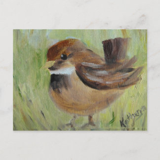 Cartão Postal Procurando a grama