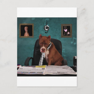 Cartão Postal Procurando talento