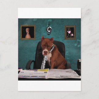 Cartão Postal Procurando talento