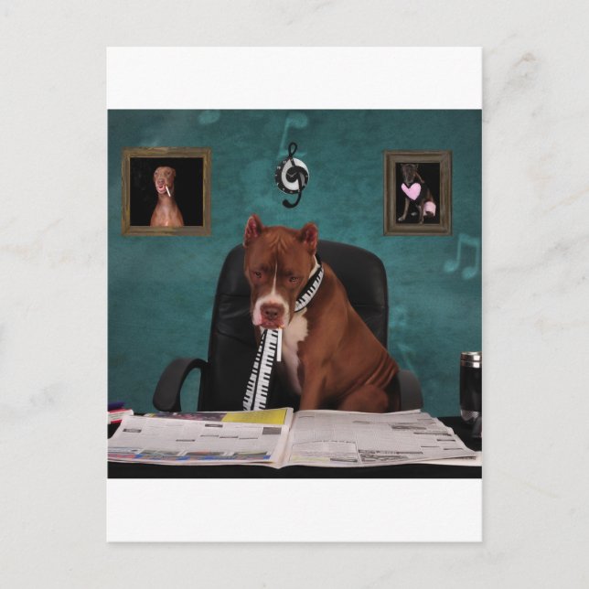 Cartão Postal Procurando talento (Frente)