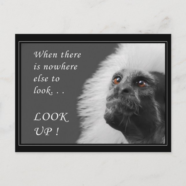 Cartão Postal Procurar (Frente)