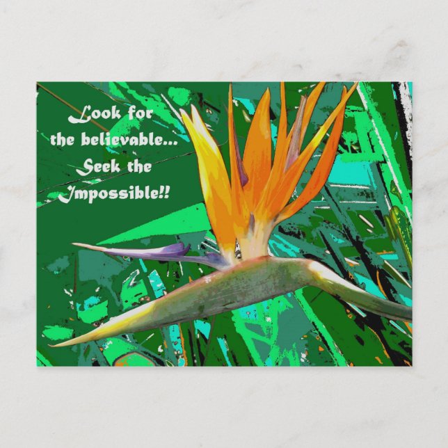 Cartão Postal Procurar... (Frente)