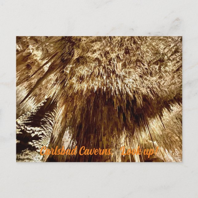 Cartão Postal procurar (Frente)