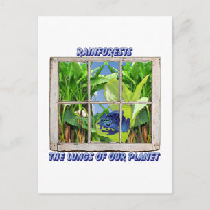 Cartão Postal Procurar Por Qualquer Janela