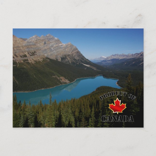 Cartão Postal Produto Peyto Lake do Canadá (Frente)