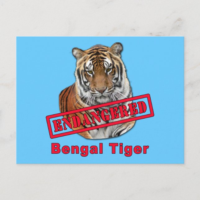 Cartão Postal Produtos de Tigre Bengala Ameaçados (Frente)