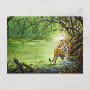 Cartão Postal Profundo na floresta, Jaguar