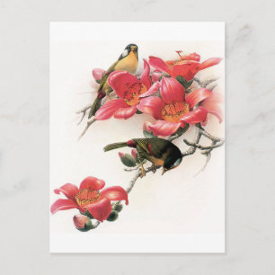 Cartão Postal Profusão Rosa