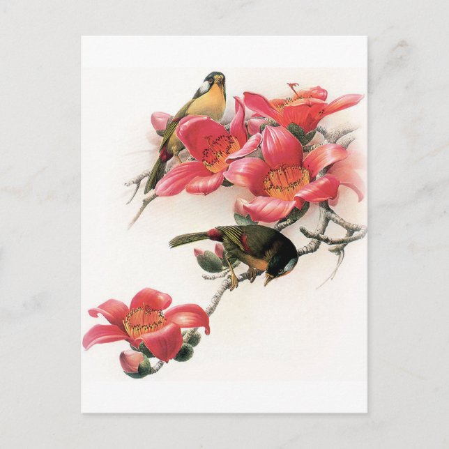 Cartão Postal Profusão Rosa (Frente)