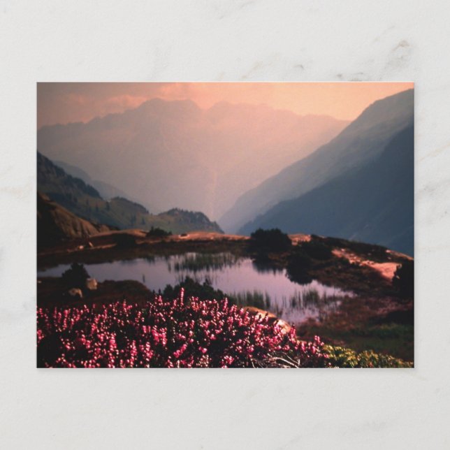 CARTÃO POSTAL PROGRESS (Frente)