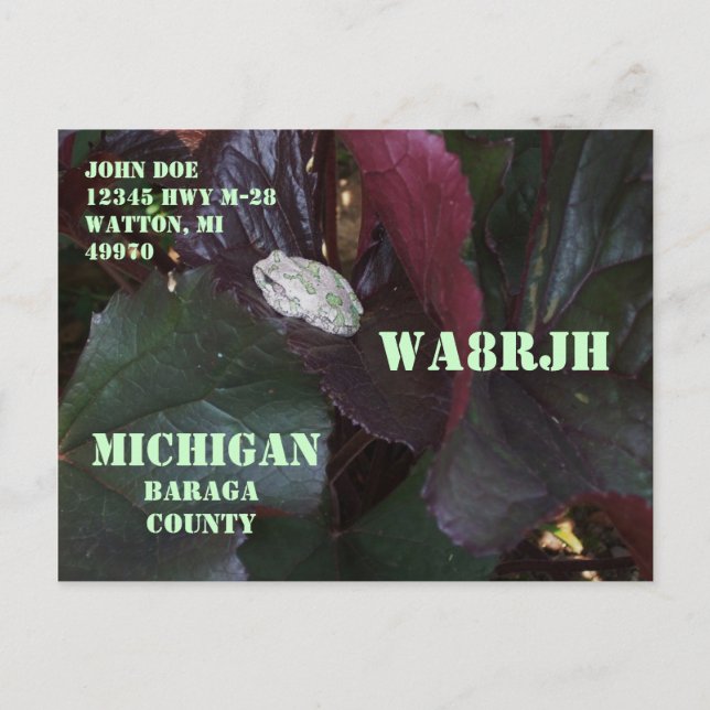 Cartão Postal Projete seus próprios animais selvagens Op do (Frente)