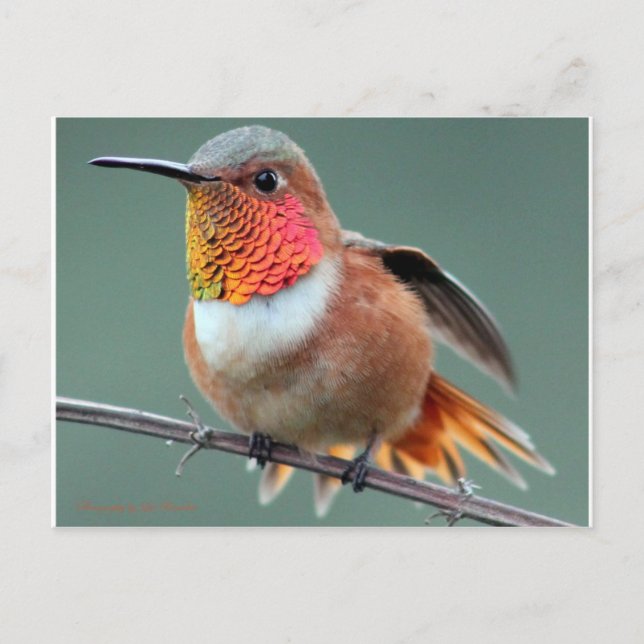 Cartão Postal Pronto para iniciar (Frente)