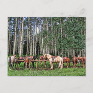 Cartão Postal Pronto Para Ir