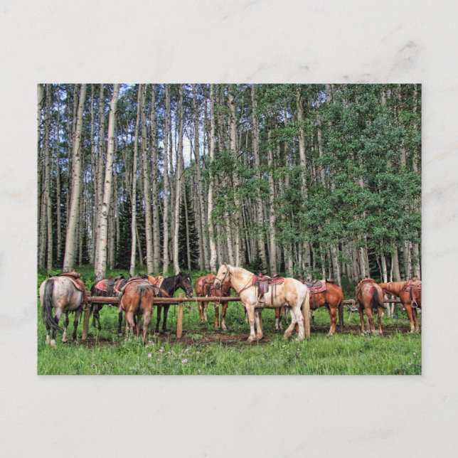 Cartão Postal Pronto Para Ir (Frente)