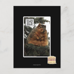 Cartão Postal Pronto para o inverno