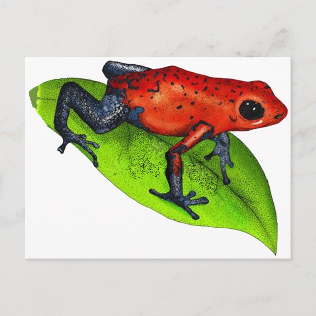 CARTÃO POSTAL PRONTO PARA SALTAR (Frente)