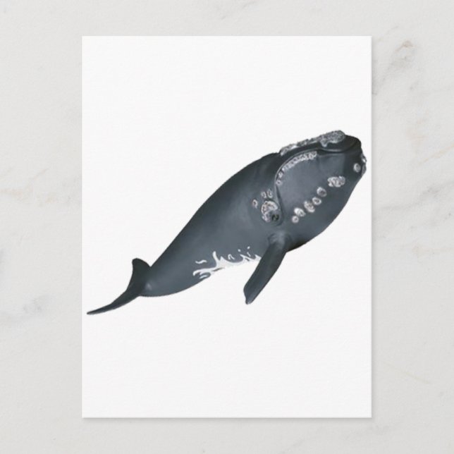 CARTÃO POSTAL PRONTO PARA VIOLAR (Frente)