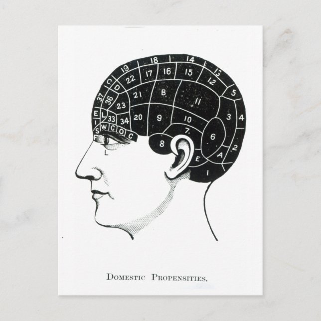 Cartão Postal Propenidades internas (Frente)