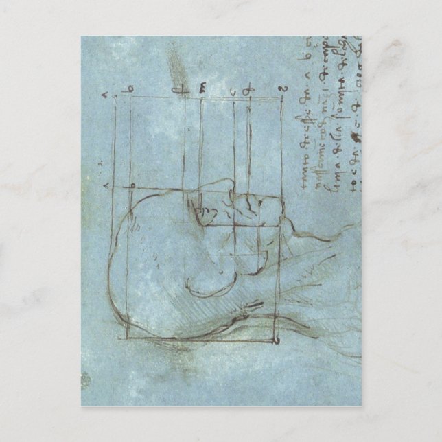 Cartão Postal Proporções da cabeça 1488 1489 ) é um desenho b (Frente)