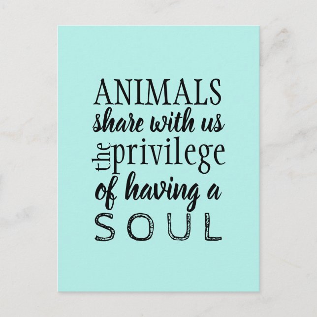 Cartão Postal Proteção dos animais (Frente)