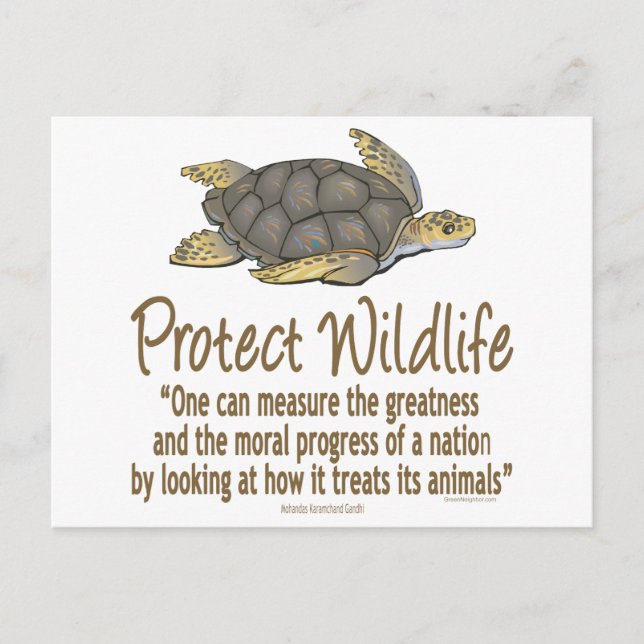 Cartão Postal Proteger as tartarugas do mar (Frente)