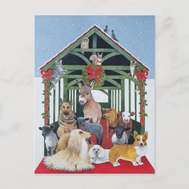 Cartão Postal Protegido (Frente)