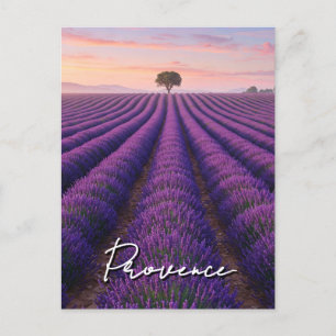 Cartão Postal Proveniência França - Campos de Lavanda