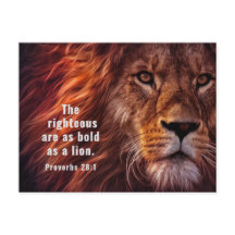 Provérbios 28:1 Bíblias à direita são negros como 