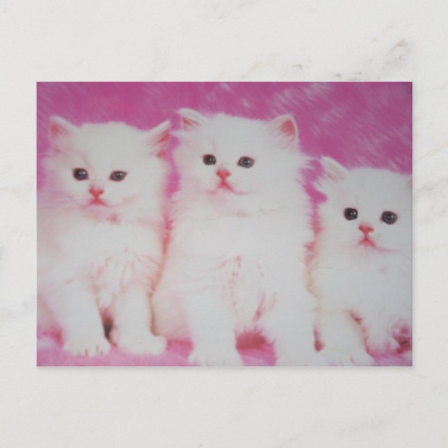 Cartão Postal Próximos Modelos de Toop da América (Frente)