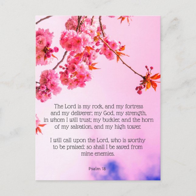 Cartão Postal Psalm 18, Cherry blossom Christian postcard (Frente)