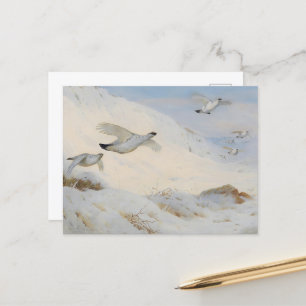 Cartão Postal Ptarmigan na plumagem de inverno, voando através d