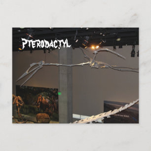 Cartão Postal Pterodactilo